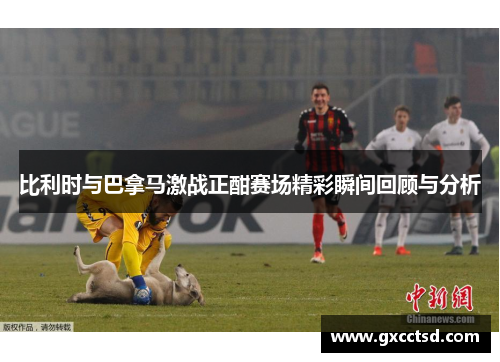 比利时与巴拿马激战正酣赛场精彩瞬间回顾与分析