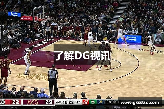 了解DG视讯